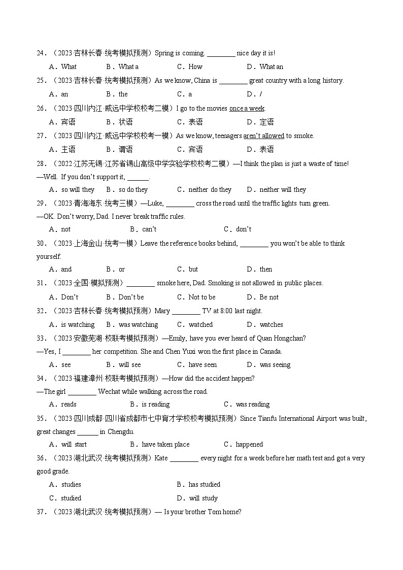 2025年中考英语一轮复习语法练习语法综合过关练（三大题型，100题）（原卷版）第3页