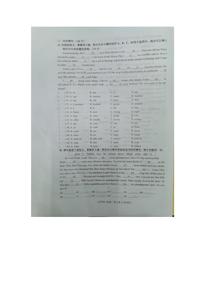 江西省赣州市安远县2024-2025学年七年级上学期11月期中考试英语试题第3页