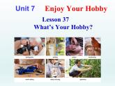 2024冀教版八上英語Unit 7 Enjoy Your Hobby Lesson 37 What's Your Hobby課件