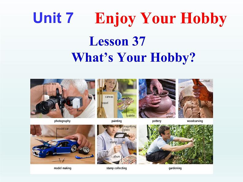 2024冀教版八上英语Unit 7 Enjoy Your Hobby Lesson 37 What's Your Hobby课件第1页