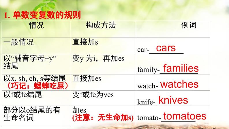 人教版（2024新版）七年级上册英语期中复习课件第4页