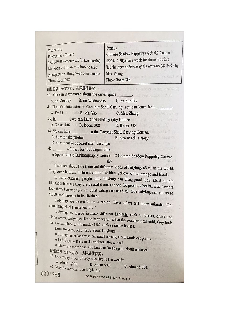 海南省文昌市2024-2025学年八年级上学期期中考试英语试题第3页