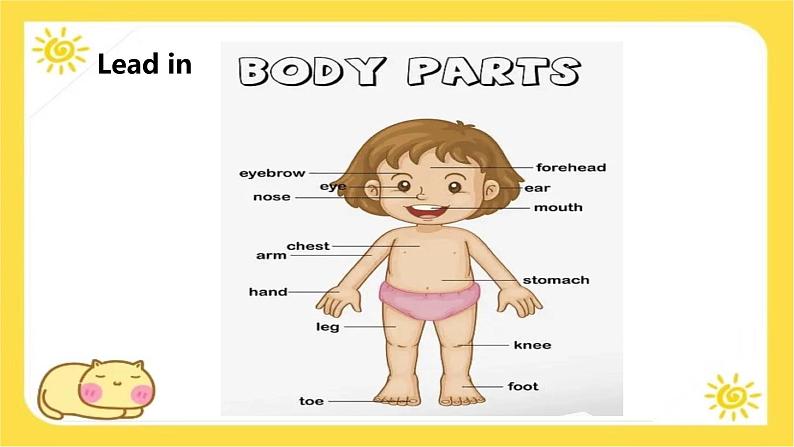 Unit 3 All about me  Lesson 1 Me and my body 课件-（冀教版2024）第3页