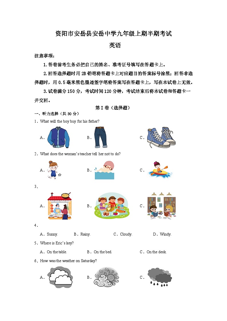 四川省资阳市安岳中学2024-2025学年九年级上学期11月期中考试英语试题01