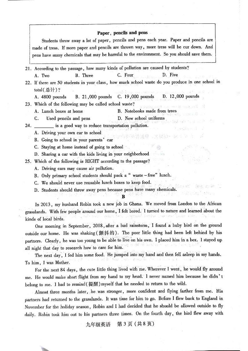 河南省洛阳市伊川县2024-2025学年九年级上学期11月期中考试英语试题03