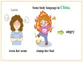 【核心素養(yǎng)】仁愛科普版英語九年級(jí)上冊(cè)Unit3 English Around the World Topic2 Section B 課件+單元整體教學(xué)設(shè)計(jì)