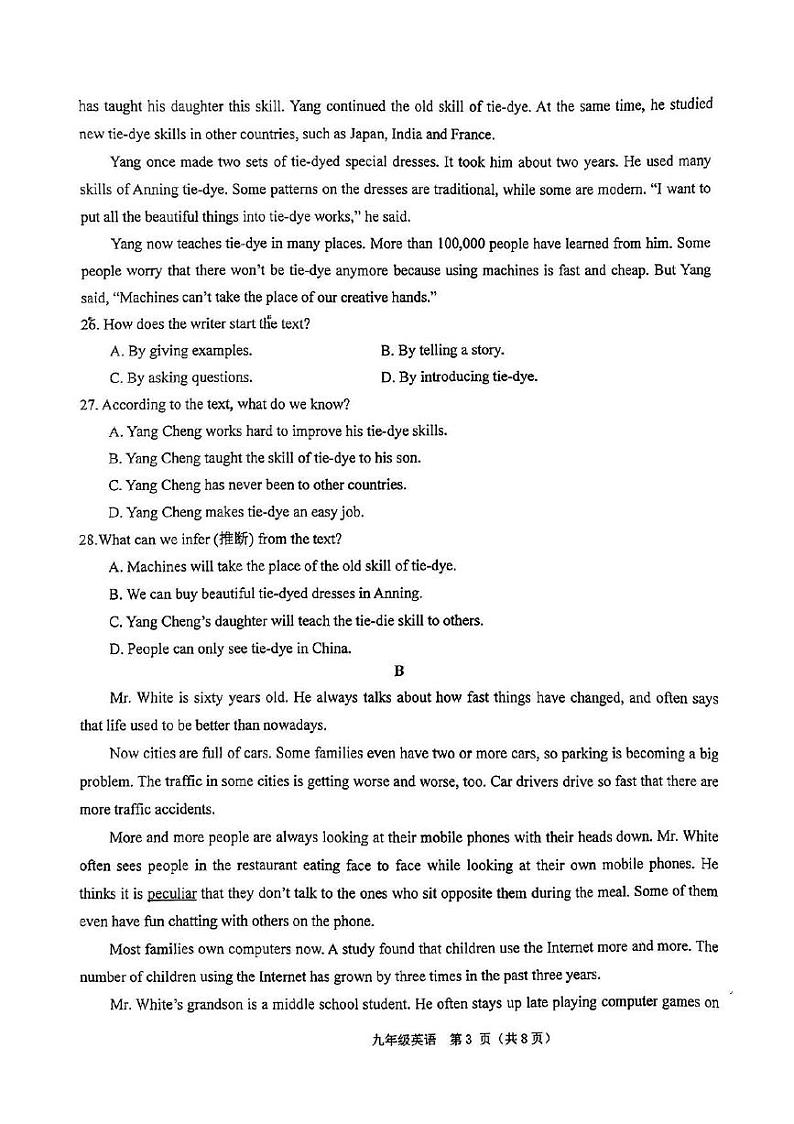山东省枣庄市山亭区2024-2025学年九年级上学期期中检测英语试题03
