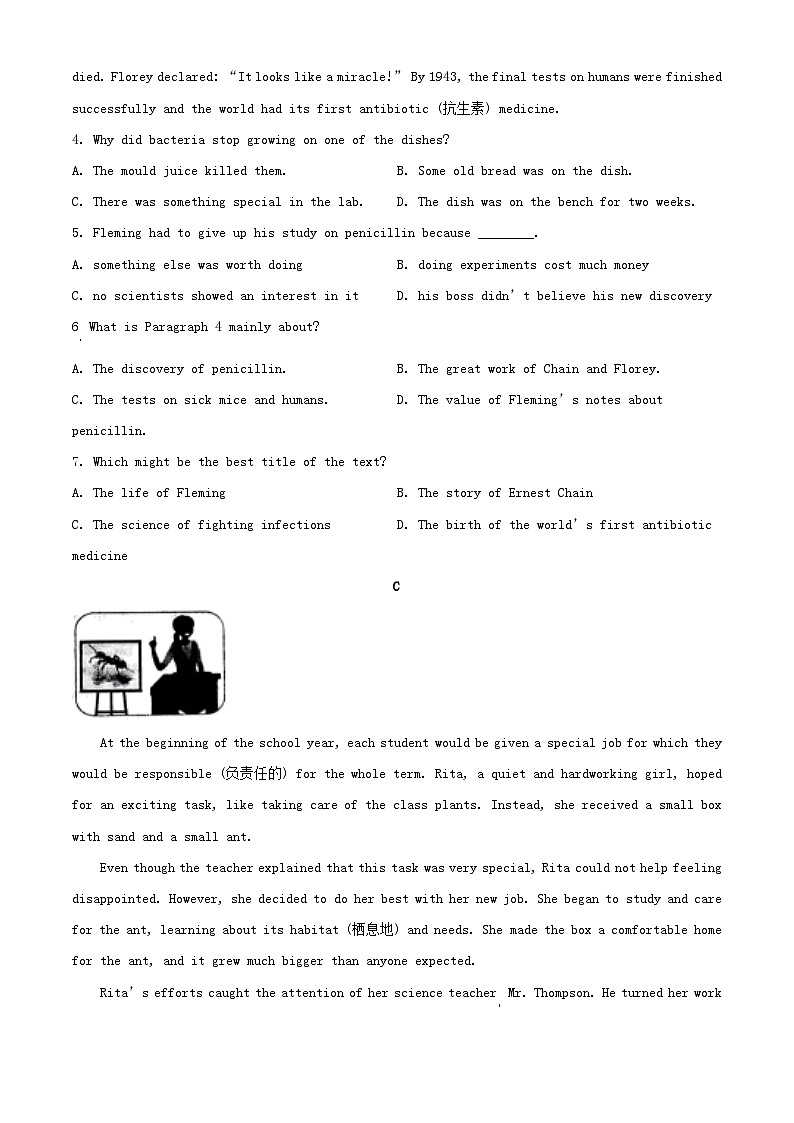 2024年山东潍坊中考真题英语真题及答案第3页