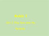 外研版英语八年级下册 Module 2Unit 2 They have seen the Pyramids课件