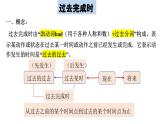 Unit12 Life is full of the unexpected. Section A(Grammar Focus-4c)课件-2024-2025学年人教版英语九年级全册