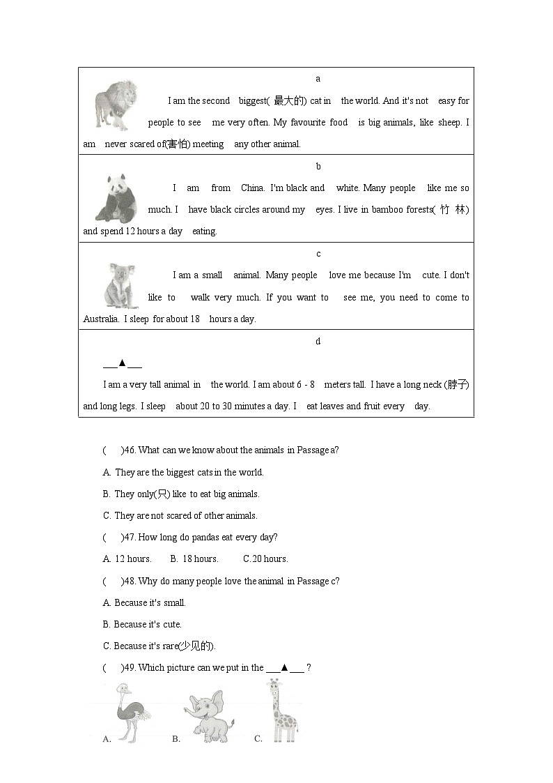期中考试题（新题型）四川省成都市2024-2025学年人教版英语七年级上册第3页