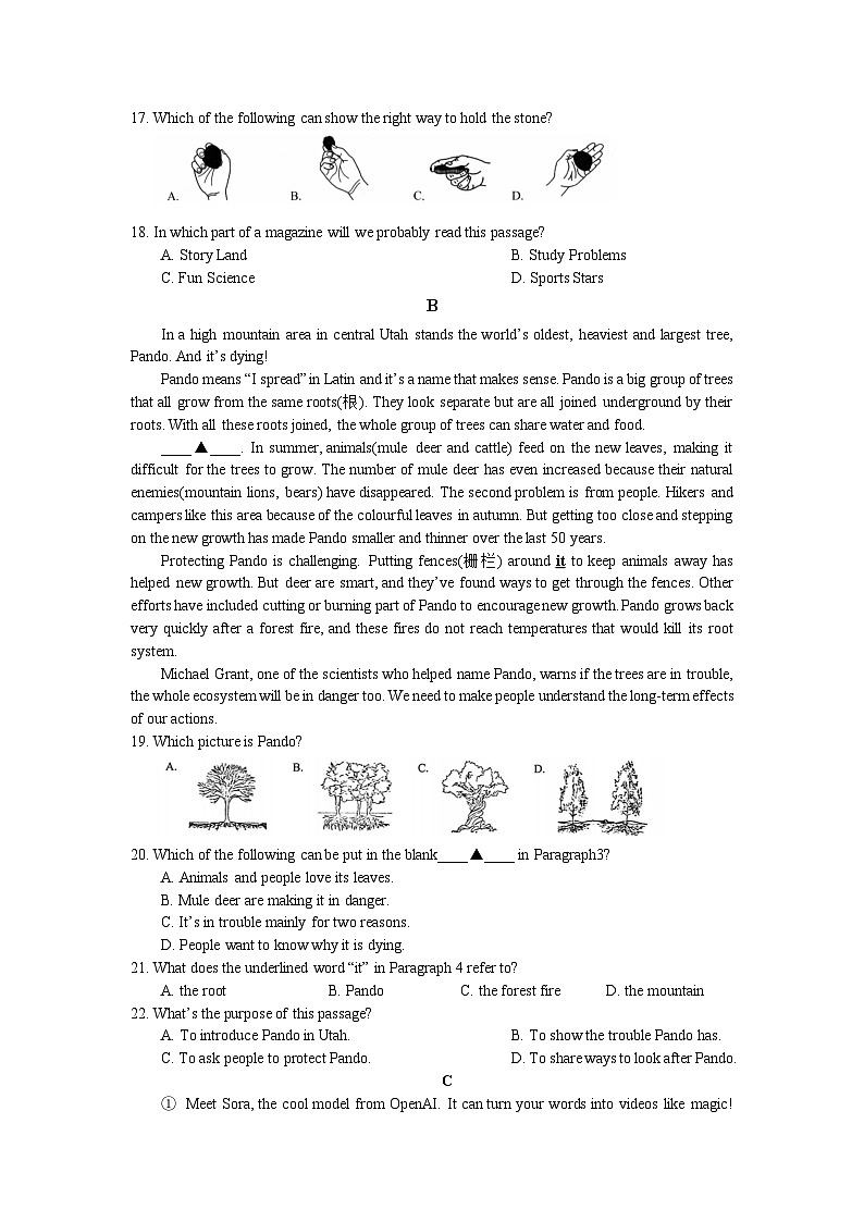 九年级上学期期中质量检测试题卷第3页