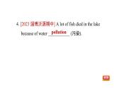 Unit 3 Will people have robots Section A (Grammar Focus-3c) 课件2023-2024学年鲁教版(五四学制)七年级英语下册