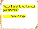新人教版英语七上Unit 2 Section B Project 课件