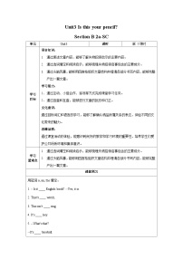 初中英语Section B学案及答案