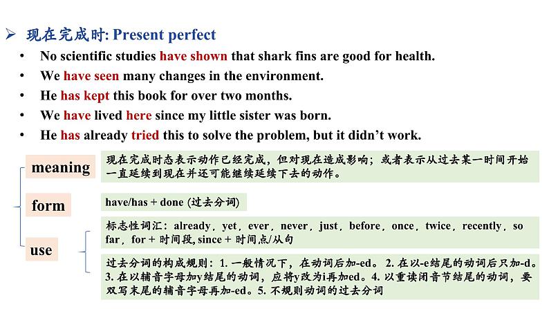 Unit 13 We’re trying to save the earth! Section A(Grammar Focus-4c)课件-2024-2025学年人教版英语九年级全册第6页