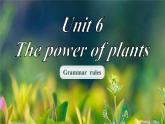 Unit 6 The power of plants Understanding ideas(Grammar rules)（課件） 2024-2025學(xué)年外研版（2024）英語(yǔ)七年級(jí)上冊(cè)