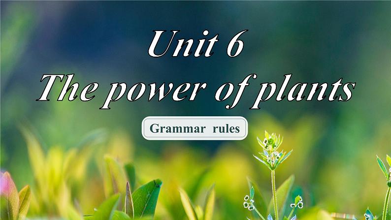 Unit 6 The power of plants Understanding ideas(Grammar rules)（课件） 2024-2025学年外研版（2024）英语七年级上册第1页