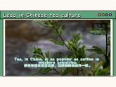 主題情境2024年新教材課件  Unit 6 The power of plants Developing Ideas Reading for writing(含音視頻）外研版七上
