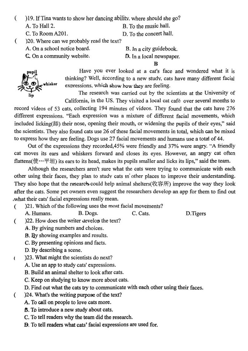 2024～2025学年湖北省十堰市茅箭区实验中学教联体九年级(上)12月月考英语试卷(含答案)第3页