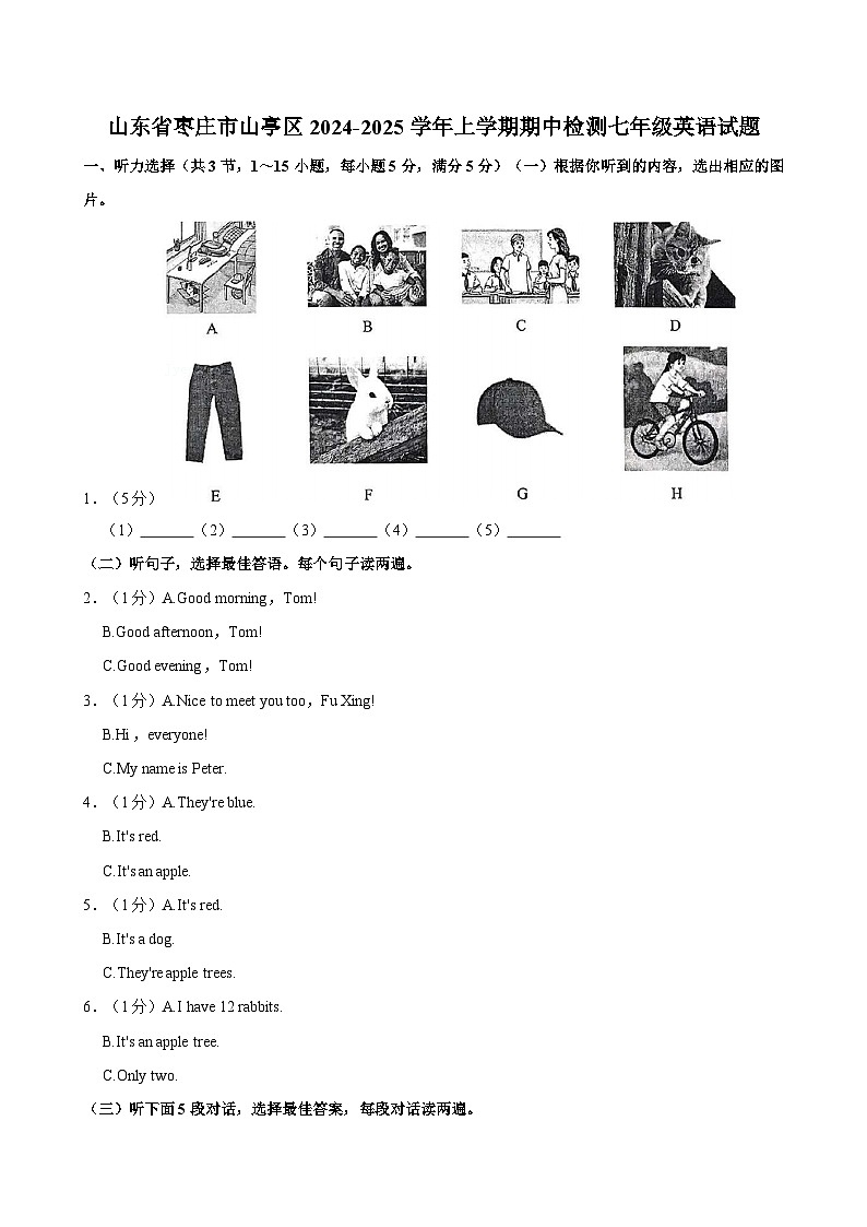 山东省枣庄市山亭区2024-2025学年上学期期中检测七年级英语试题（含答案解析）第1页