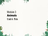 沪教牛津版英语八下 Module 3 Unit 6  Pets Getting ready & Reading课件