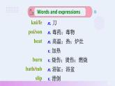 初中英语Unit3Lesson16课件2023-2024学年冀教版英语九年级全册