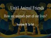 人教版2024七年级下册英语Unit 1 Animal friends Section B 1a-1d 课件+教案