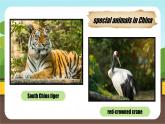人教版2024七年級下冊英語 Unit 1 Animal friends Section A 1a~pronunciation課件+英文版教案+素材