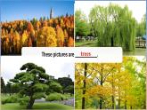 Unit 5 Love Mother Nature! Oral Communication - 七年级英语上册同步课件（仁爱版2024）