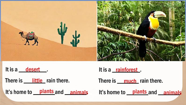 Unit 5 Love Mother Nature! Thinking Skills and Reading Strategies - 七年级英语上册同步课件（仁爱版2024）第3页