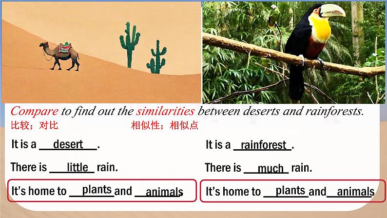 Unit 5 Love Mother Nature! Thinking Skills and Reading Strategies - 七年级英语上册同步课件（仁爱版2024）第4页