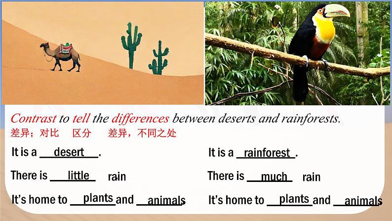 Unit 5 Love Mother Nature! Thinking Skills and Reading Strategies - 七年级英语上册同步课件（仁爱版2024）第6页