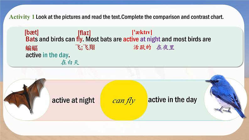 Unit 5 Love Mother Nature! Thinking Skills and Reading Strategies - 七年级英语上册同步课件（仁爱版2024）第8页