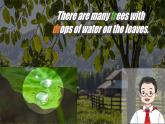 Unit 5 A healthy lifestyle Pronunciation（課件） 2024-2025學(xué)年譯林版英語七年級上冊