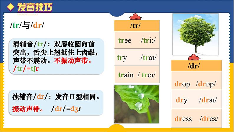 Unit 5 A healthy lifestyle Pronunciation（课件） 2024-2025学年译林版英语七年级上册第7页