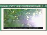 主題情境2024年新教材課件  Unit 6 The power of plants Presenting ideas&Reflection(含視頻）外研版七上