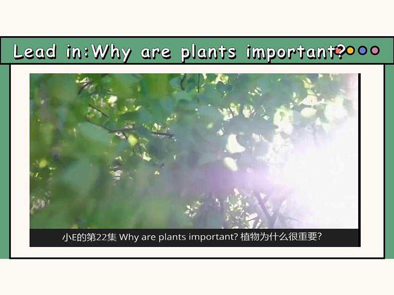 课件 Unit 6 The power of plants Presenting Ideas&Reflection(含视频）2024新外研版七上第4页