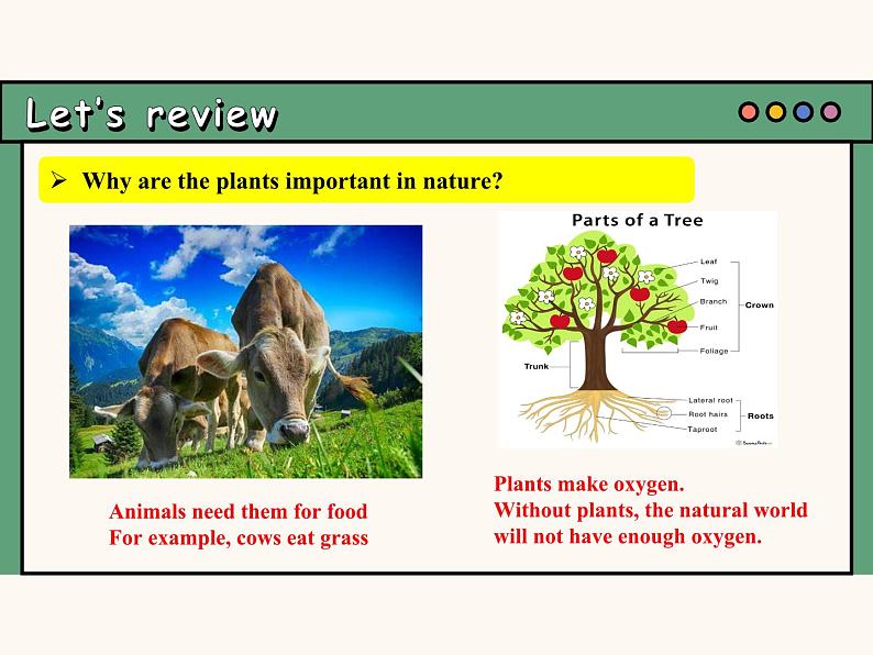 课件 Unit 6 The power of plants Presenting Ideas&Reflection(含视频）2024新外研版七上第6页