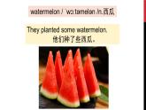 新译林版英语七上Unit 5 Healthy lifestyle 优质课件