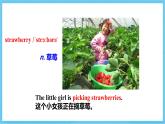 冀教版英語七下 Unit 6 Lesson 36 課件