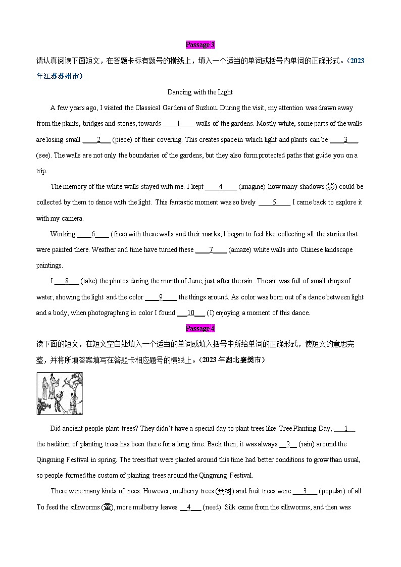 专题13 语法填空，选词填空精练【考题猜想】原卷版第2页