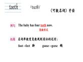 初中英語新人教版七年級上冊Unit 6Section A詞匯課件2024秋