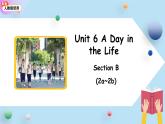 人教版英语（2024）七年级上册（2024）Unit 6 A Day in the Life Section B 第2课时 课件