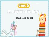 2024-2025学年人教版英语七年级上册 Unit 6 Section B (1a-1d) 课件