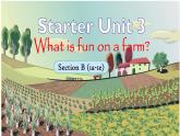 2024-2025学年人教版英语七年级上册 Starter Unit 3 Section B (1a-1e). pptx 课件