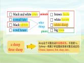 2024-2025学年人教版英语七年级上册 Starter Unit 3 Section B (1a-1e). pptx 课件