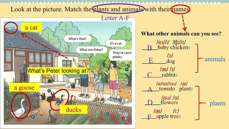 2024-2025学年人教版英语七年级上册 Starter Unit 3 Welcome! Section A (1a-1b) 课件第6页