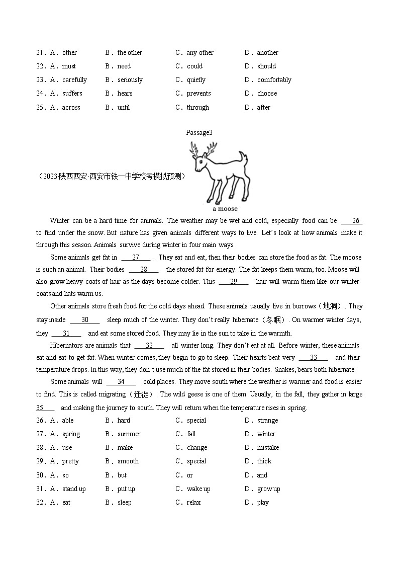 第03讲 完形填空之说明文（练习）-2024年中考英语一轮复习讲练测（全国通用）（原卷版）第3页