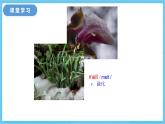 冀教版英語(yǔ)八下 Unit 1 Lesson 3 課件